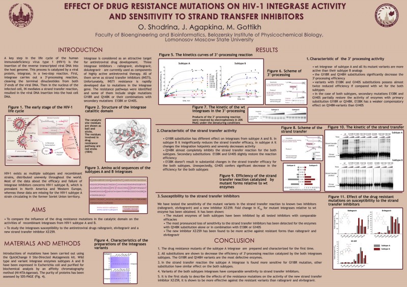 Реферат: The Effects Of HIV Mutations On The